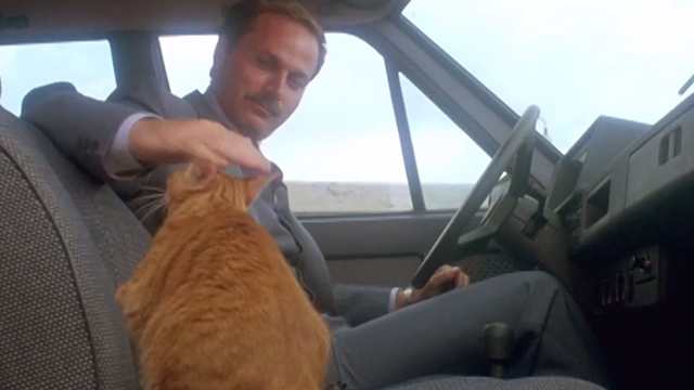 The Salamander - ginger tabby cat in passenger seat of car with Dante Matucci Franco Nero