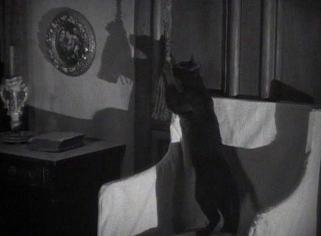 Secret of the Blue Room - black cat tugging on bell pull