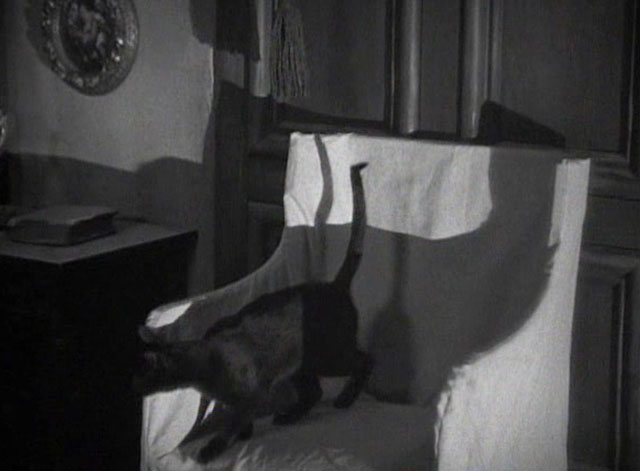 Secret of the Blue Room - black cat on chair