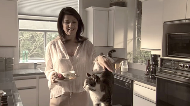 Secret Lives - tabby and white cat Cleo on counter being petted by Jill Daphne Zuniga