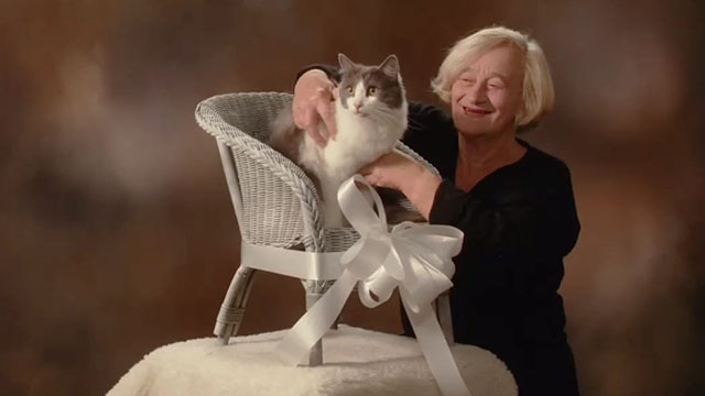 Secrets & Lies - gray and white cat in chair with woman Liz Smith being photographed