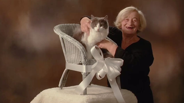 Secrets & Lies - gray and white cat in chair with woman Liz Smith being photographed