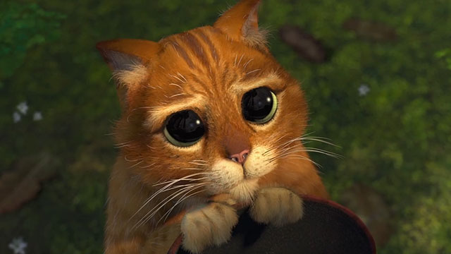 Shrek 2 - cartoon ginger tabby cat Puss in Boots doing sad eyes