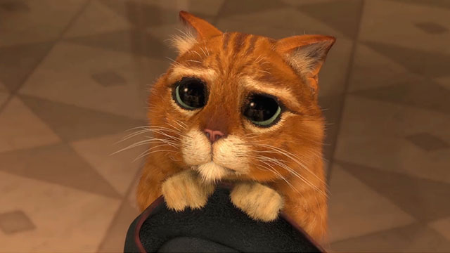 Shrek 2 - cartoon ginger tabby cat Puss in Boots doing sad eyes again