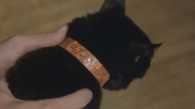 Shriek If You Know What I Did Last Friday the 13th - close up of black cat Cheap Shot collar