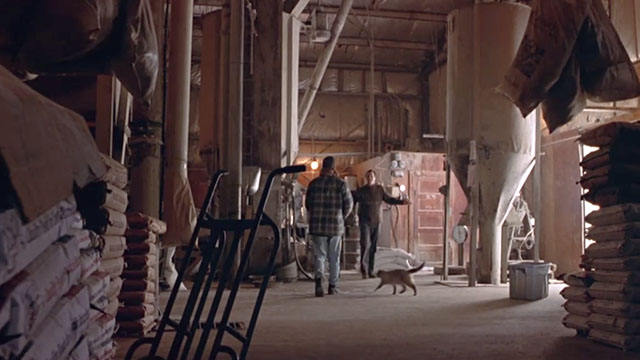 A Simple Plan - Siamese cat running across floor of feed mill