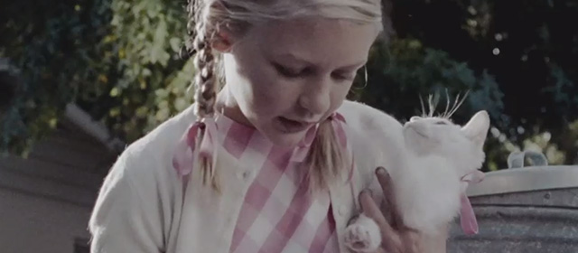 A Single Man - girl holding white cat while hammering