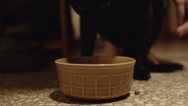 The Sitter - black cat Raph by bowl on floor