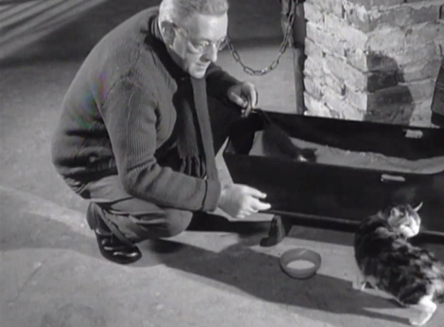 Situation Hopeless but not Serious - Wilhelm Frick Alec Guinness feeding milk to calico cat Mitzi and kitten