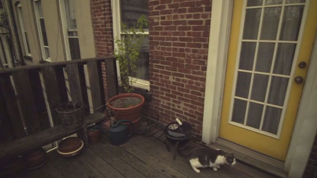 Sleeping With Frank - gray and white cat sitting outside door