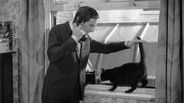 The Small World of Sammy Lee - black cat Oscar Sambo in window petted by Sammy Anthony Newley