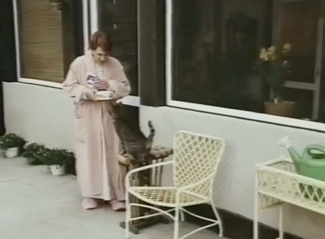 Splash, Too - brown tabby cat Tischman on chair with Mrs. Needler Doris Belack