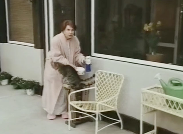 Splash, Too - brown tabby cat Tischman on chair with Mrs. Needler Doris Belack