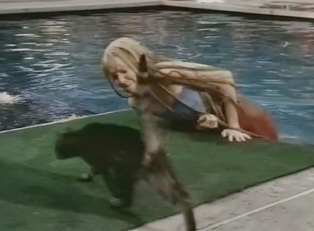 Splash, Too - brown tabby cat Tischman next to pool with Madison Amy Yasbeck