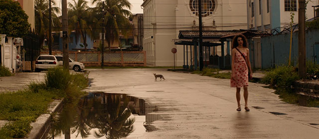 Stars at Noon - cat crossing road behind Trish Margaret Qualley