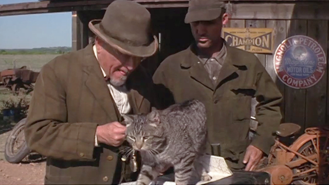 The Stars Fell on Henrietta - Mr. Cox Robert Duvall with brown tabby cat Matilda and gas station attendant