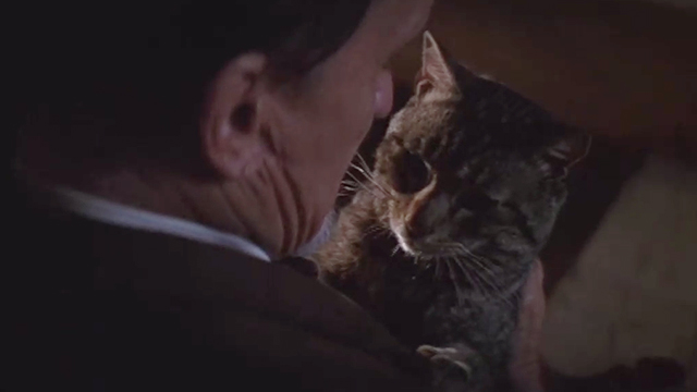 The Stars Fell on Henrietta - Mr. Cox Robert Duvall with brown tabby cat Matilda