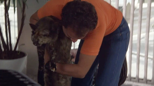 Stick - tortoiseshell cat being picked up by Rainy José Pérez