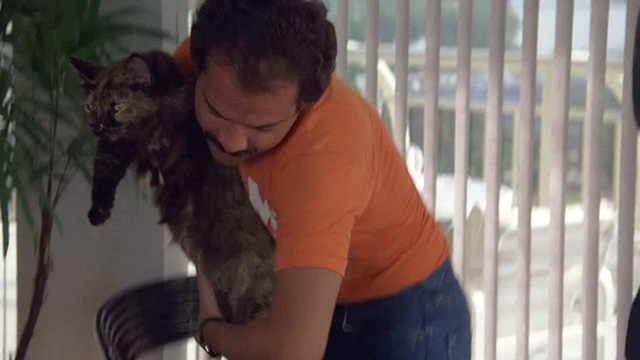 Stick - tortoiseshell cat being picked up by Rainy José Pérez