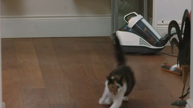 Stitches - calico cat Pud running away from vacuum cleaner