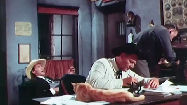 Stranger on Horseback - ginger tabby cat Orangey lying on desk in jailhouse with Rick Thorne Joel McCrea Nat Bell Emile Meyer and Colonel Buck Streeter John Carradine