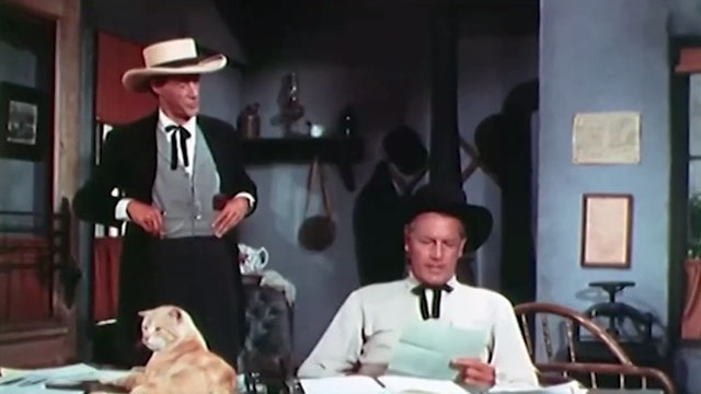 Stranger on Horseback - ginger tabby cat Orangey lying on desk in jailhouse with Rick Thorne Joel McCrea and Colonel Buck Streeter John Carradine