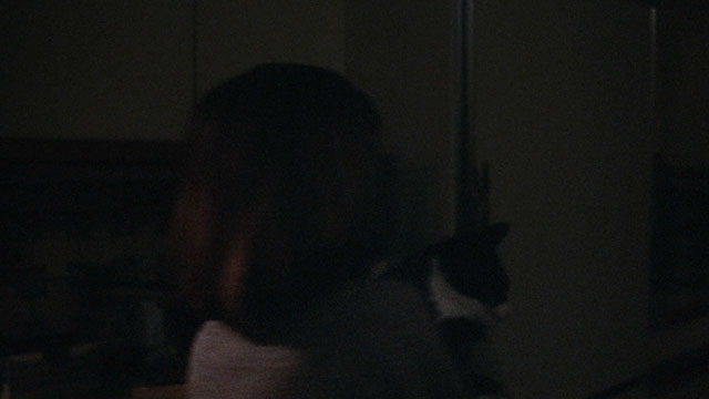 A Stranger is Watching - Julie Shawn von Schreiber carrying tuxedo cat Mindy into kitchen