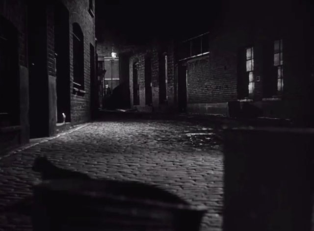 Street of Shadows - black cat walking on cobbled street in front of trash can