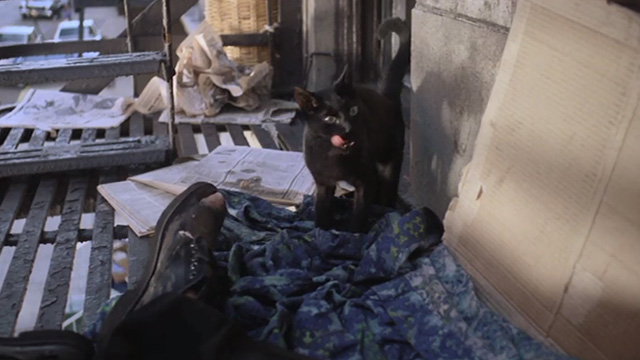 Street Trash - small black cat on fire escape