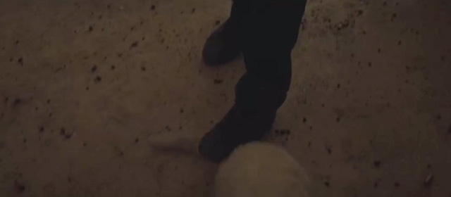 Stuber - foot stepping on fake white cat's tail