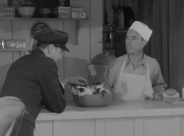 Sworn Enemy - Hank Sherman Robert Young and George Chandler with four tabby and white kittens in basket on lunch counter