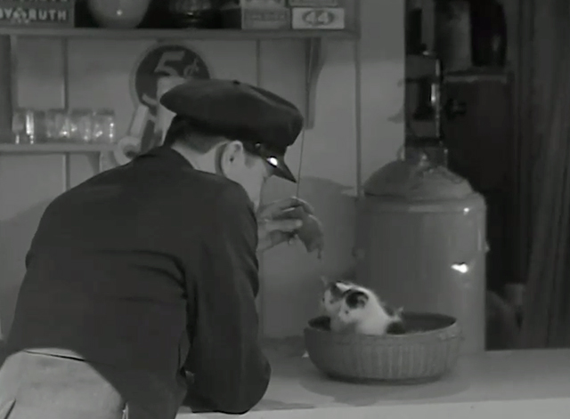 Sworn Enemy - Hank Sherman Robert Young with four tabby and white kittens in basket on lunch counter