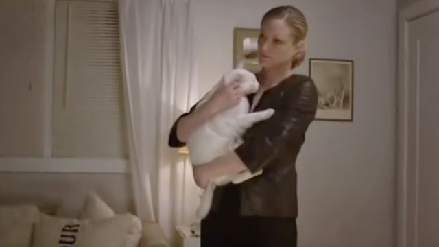 A Taste of Romance - Sara Westbrook Teri Polo hugging white cat Daisy