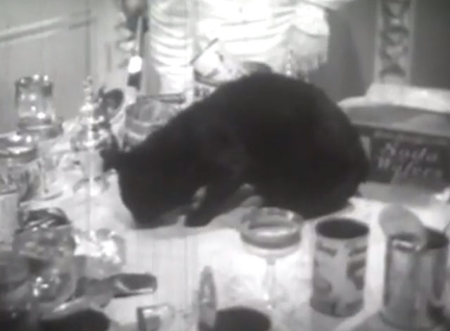 Terror Aboard - black cat eating on table