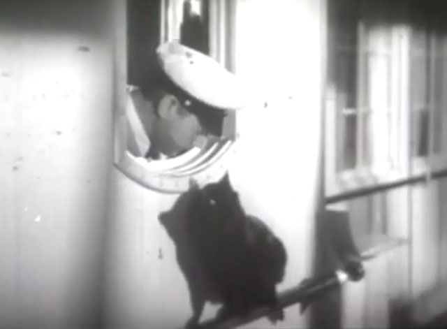 Terror Aboard - Blackie Charles Ruggles looking out of porthole at black cat