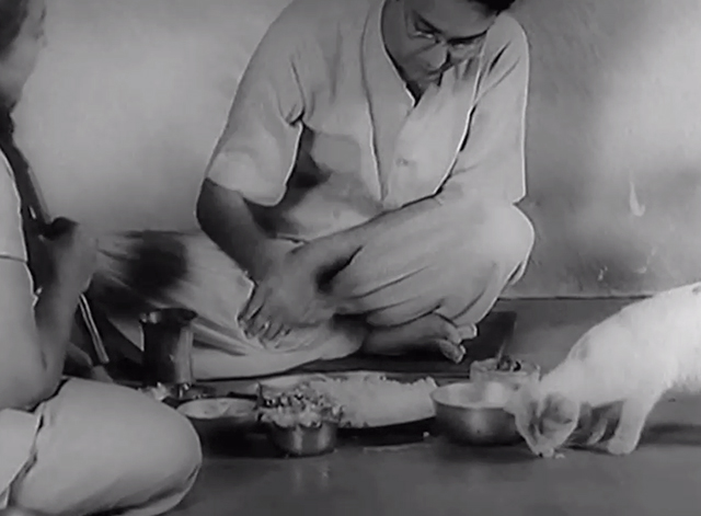 Three Daughters - Samapti - Amulya Soumitra Chatterjee eating with white kitten with markings