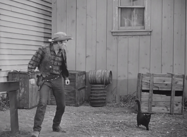 Timber Stampede - Whopper Hatch Chill Wills trying to keep a black cat from crossing his path