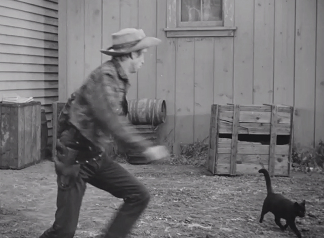 Timber Stampede - Whopper Hatch Chill Wills trying to keep a black cat from crossing his path