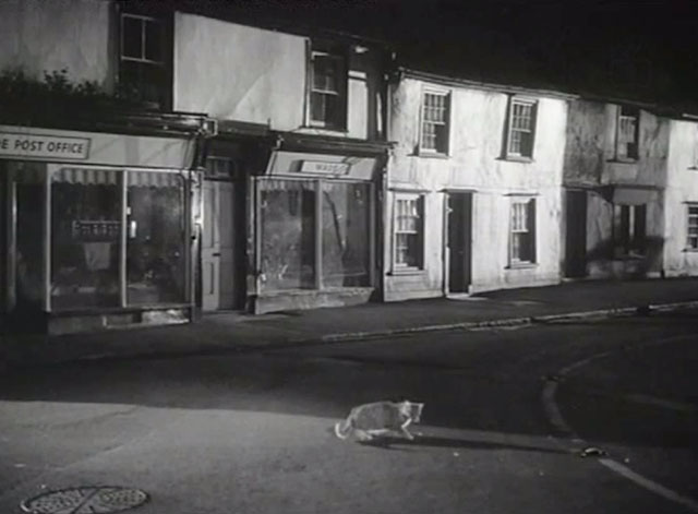 Time, Gentlemen, Please! - tabby cat in middle of road