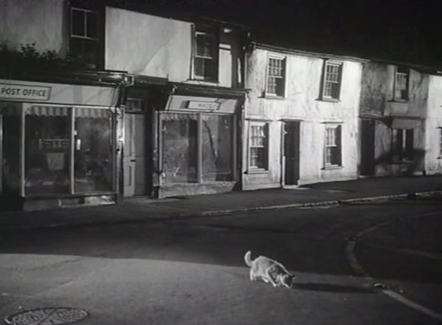 Time, Gentlemen, Please! - tabby cat eating something in middle of road