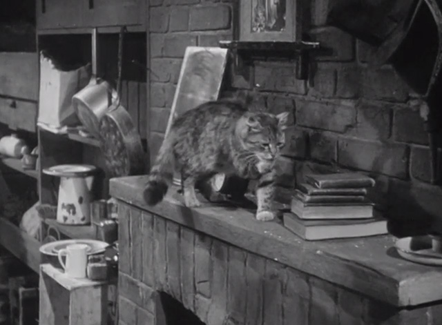 A Time to Kill - tabby cat licking its paw on mantel