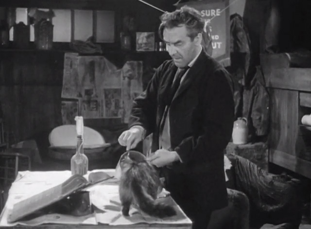 A Time to Kill - Phineas John Le Mesurier pouring food from pot into dish for tabby cat