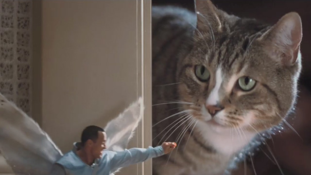 Tooth Fairy - giant tabby cat looking around corner for Derek Dwayne Johnson with Cat Away