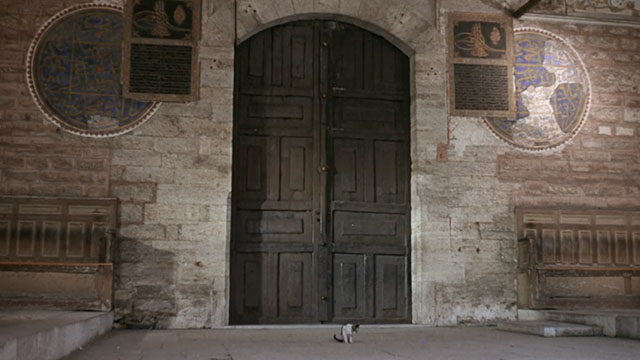 Topkapi - tabby and white cat sitting outside gate