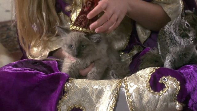 To the Ends of Time - longhair kitten being fitted with tiny hat by Princess Stephanie