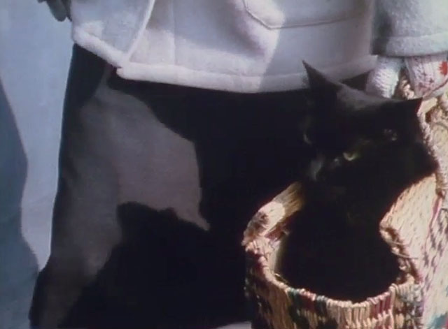 Touch and Go - longhair black cat Heathcliff being carried in basket