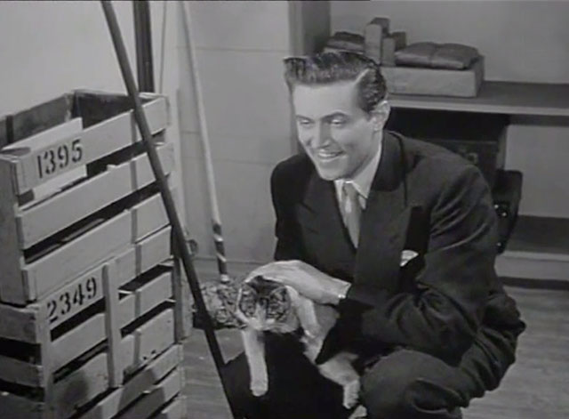 Traveller's Joy - Reggie John McCallum holding tabby and white cat by boxes