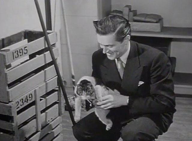 Traveller's Joy - Reggie John McCallum holding tabby and white cat by boxes