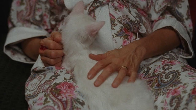 The Unborn - longhair white cat Joe Winter Eye lying on lap