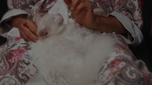 The Unborn - longhair white cat Joe Winter Eye content on lap